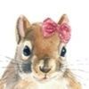 scattersquirrel
